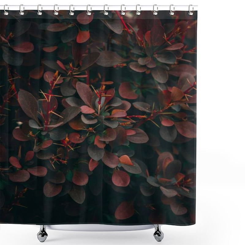 Personality  Close-up Of Dark Red Foliage With Lush Green Accents. Shower Curtains