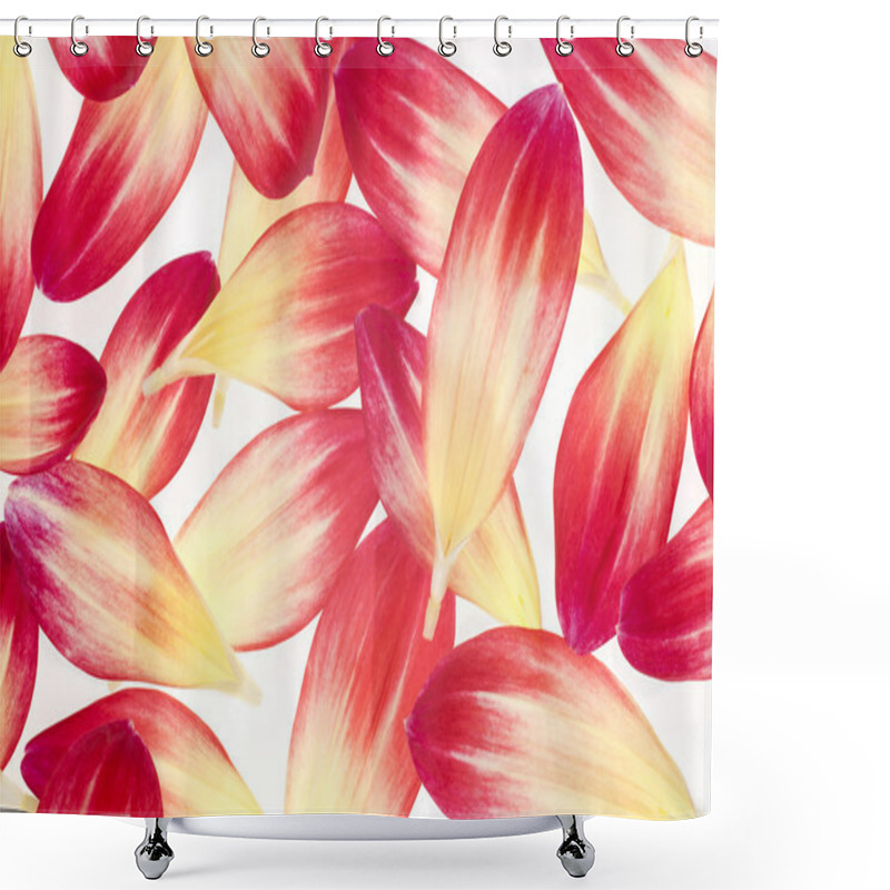 Personality  Dahlia Petals Shower Curtains