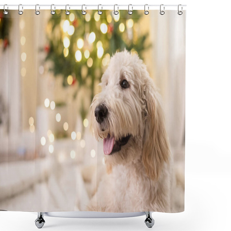 Personality  Happy Dog Smiling And Laying Down In Front Of Christmas Tree Shower Curtains