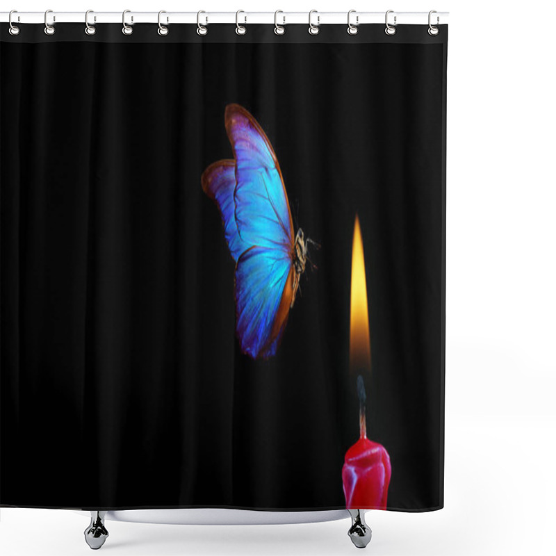 Personality  Butterfly Flying Into The Light Of A Candle. Bright Tropical Morpho Butterfly And Candle Flame On Black Background. Temptation And Danger Shower Curtains