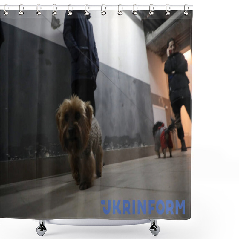 Personality  KYIV, UKRAINE - FEBRUARY 25, 2022 - Pets Accompany Their Owner To The Basement Of A Residential Tower Block That Doubles As A Shelter On The Second Day Of The Russian Invasion, Kyiv, Capital Of Ukraine. Shower Curtains