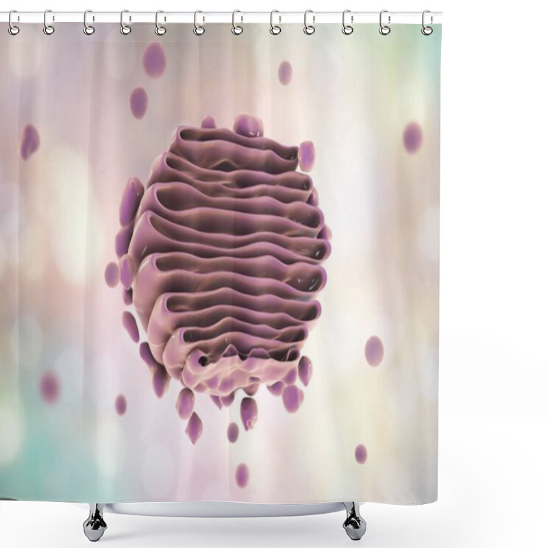 Personality  Golgi Apparatus Of The Cell, Close-up View Shower Curtains