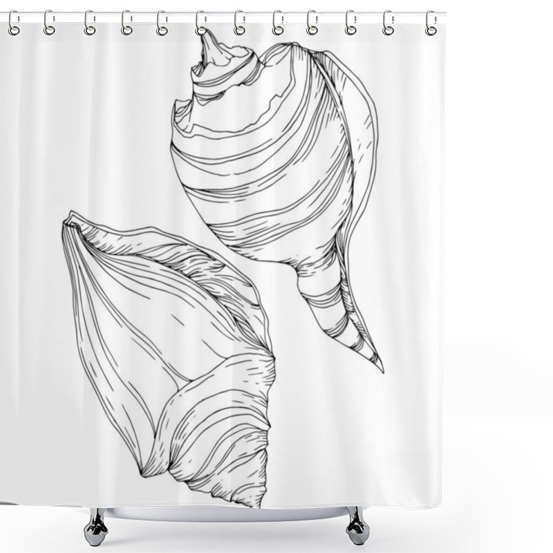 Personality  Summer Beach Seashell Tropical Elements. Black And White Engraved Ink Art. Isolated Shells Illustration Element. Shower Curtains