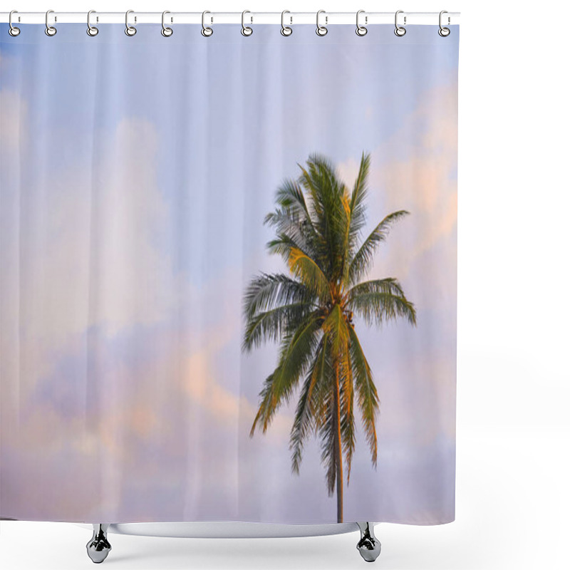 Personality  Single Coconut Tree With Sky View, Morning Sky And Coconut Tree, Tropical Island. Sunset Sky. With Copy Space Shower Curtains