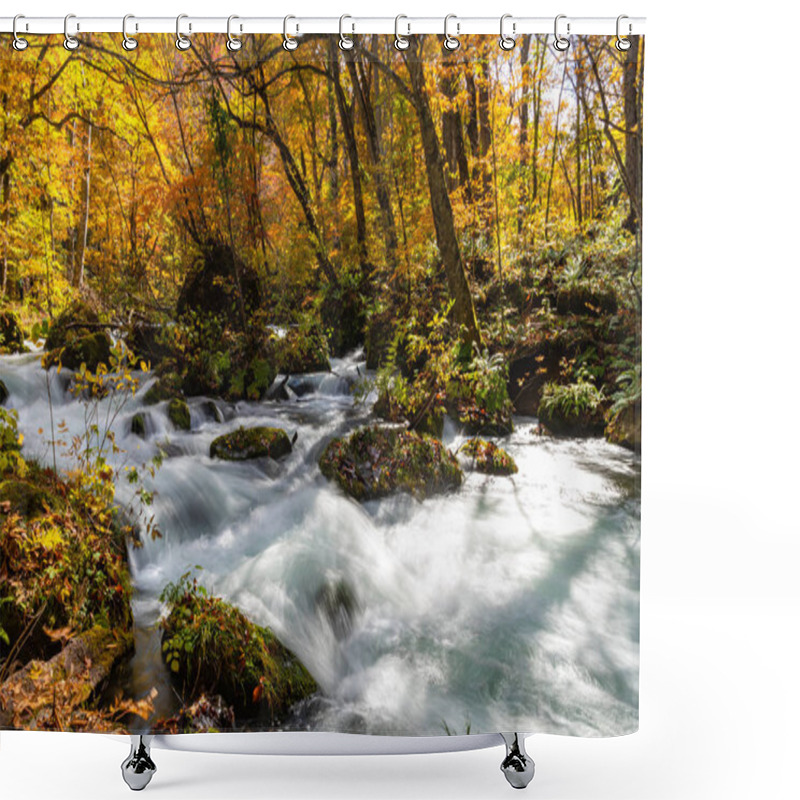 Personality  Oirase Stream In Sunny Day, Beautiful Fall Foliage Scene In Autumn Colors. Flowing River, Fallen Leaves, Mossy Rocks In Towada Hachimantai National Park, Aomori, Japan. Famous And Popular Destinations Shower Curtains