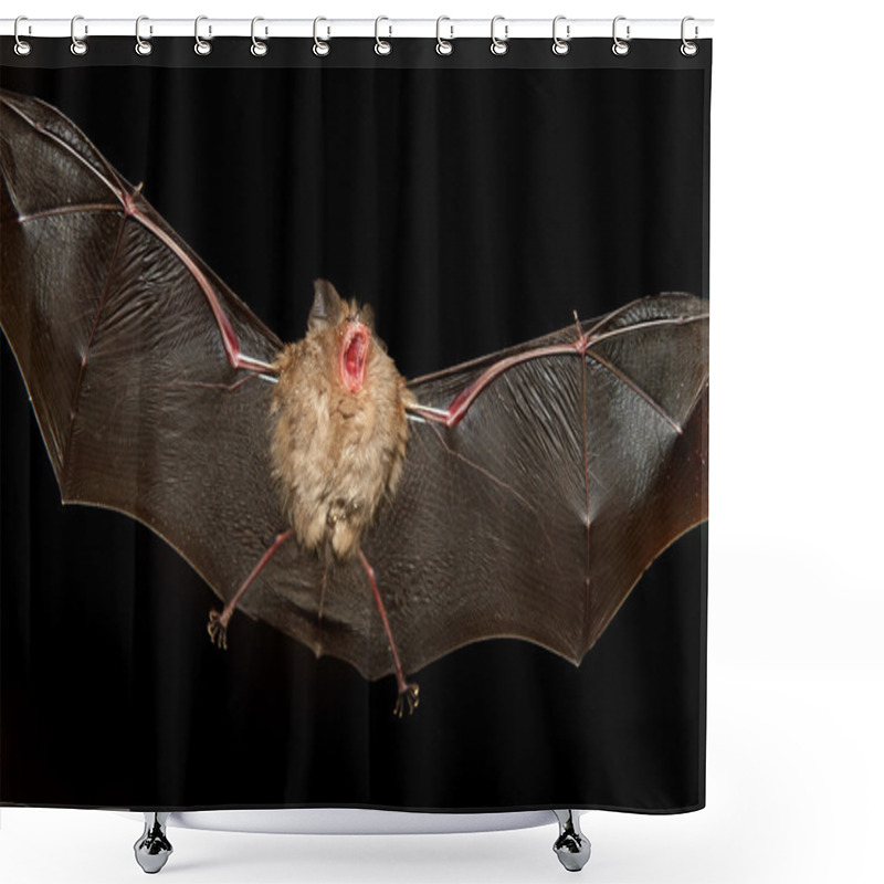 Personality  Bat Cave Shower Curtains