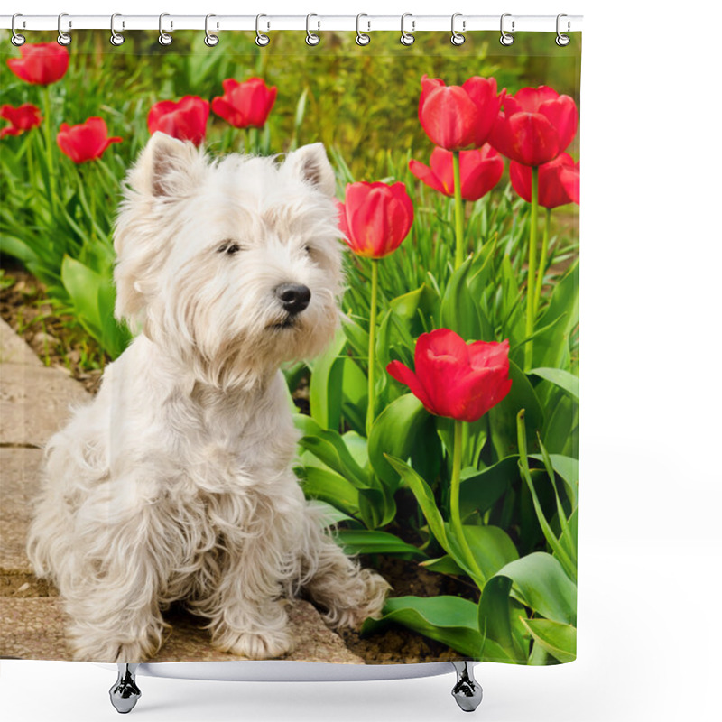 Personality  West Highland Terrier Shower Curtains