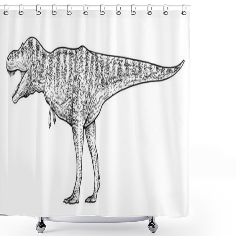 Personality  Tyrannosaurus Illustration, Drawing, Engraving, Ink, Line Art, Vector Shower Curtains