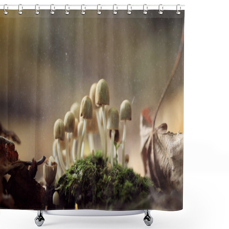 Personality  Poisonous Mushrooms Toadstool Group Shower Curtains