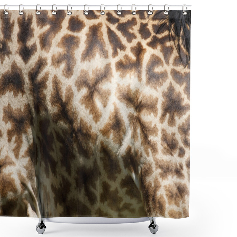 Personality  Giraffe Skin Shower Curtains