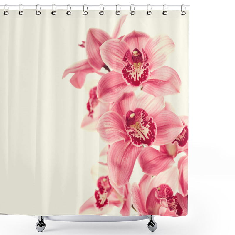 Personality  Orchid Flowers Isolated Shower Curtains