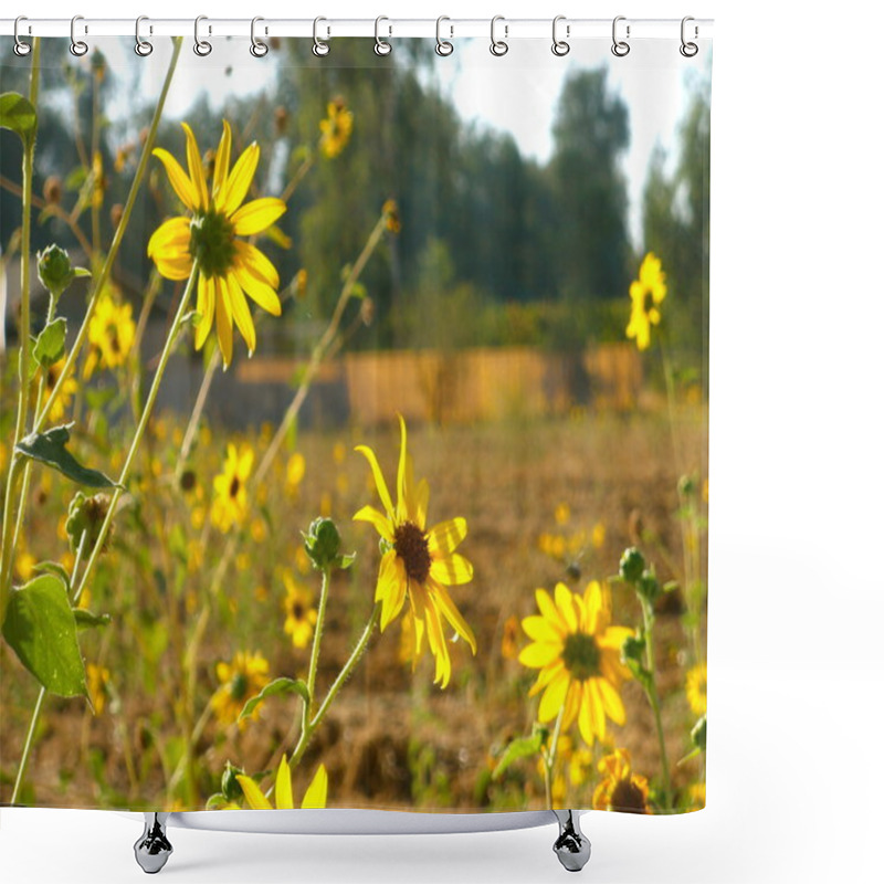 Personality  Yellow Wildflowers Shower Curtains