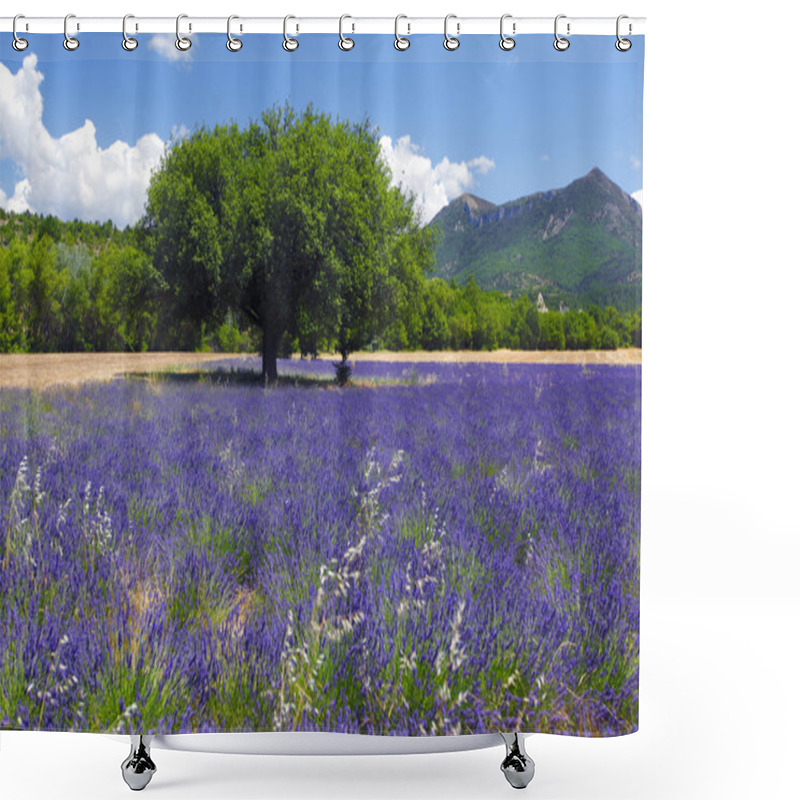 Personality  Lavender Field Shower Curtains