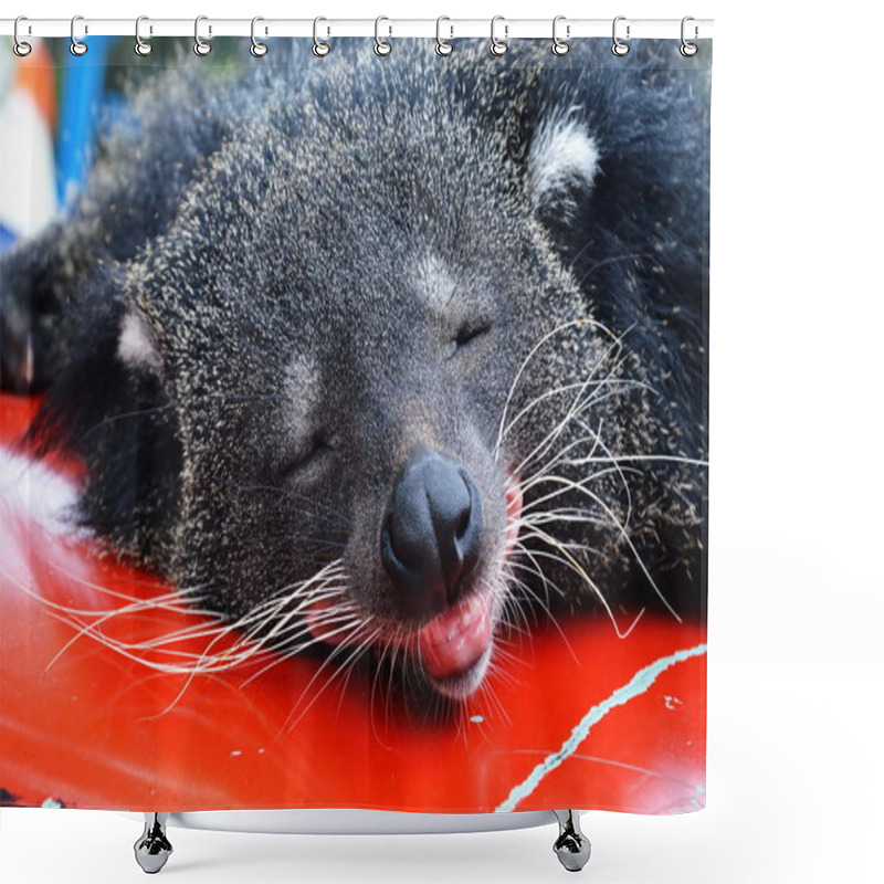 Personality  Bear Cat Shower Curtains