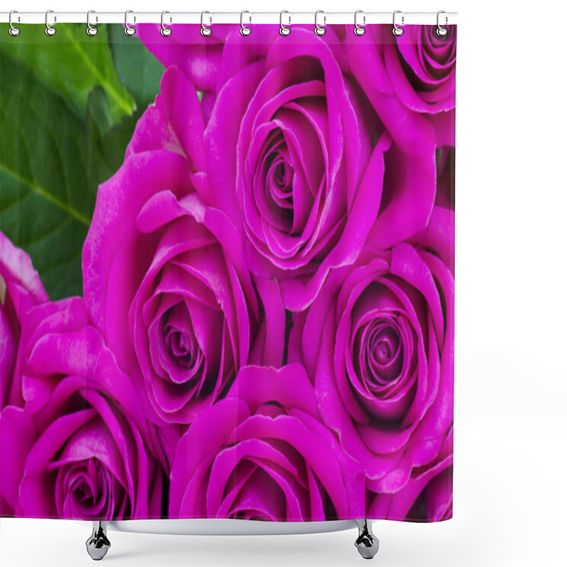 Personality  Pink Roses Natural Background Shower Curtains