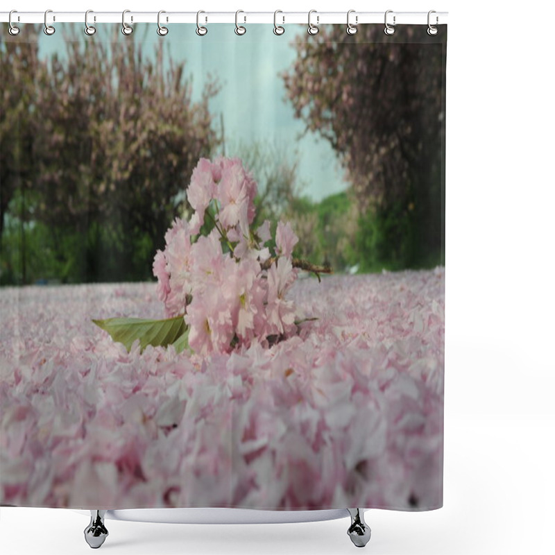 Personality  Sakura Bouquet On Ground Shower Curtains