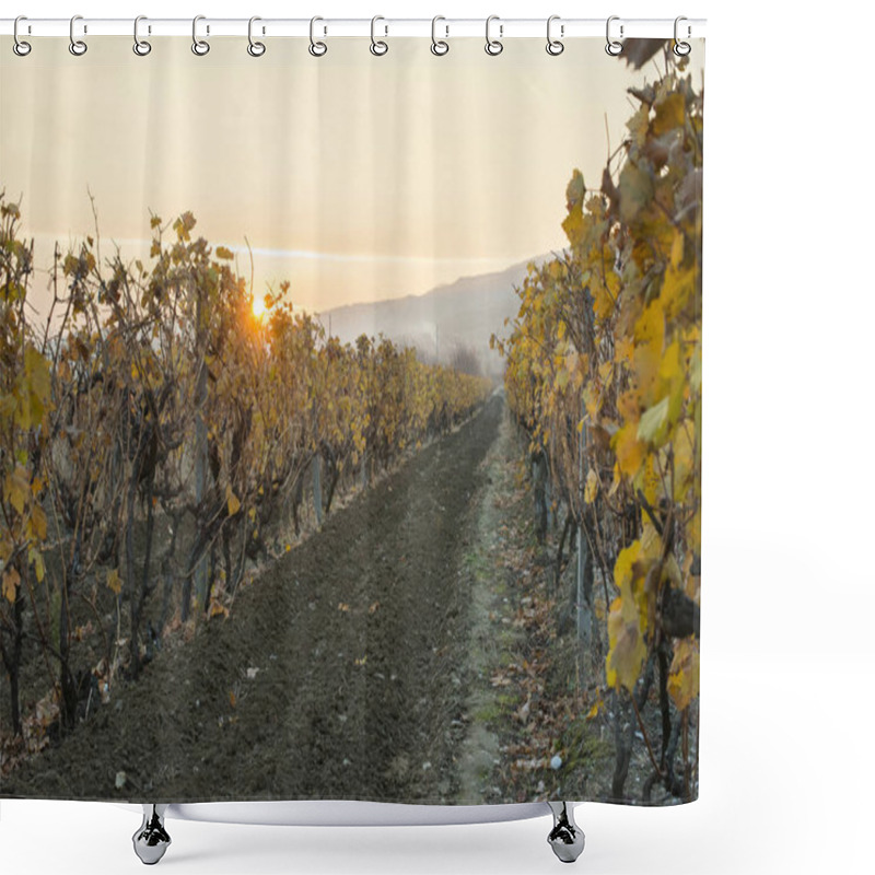 Personality  Autumn Vineyard In The Morning. Shower Curtains