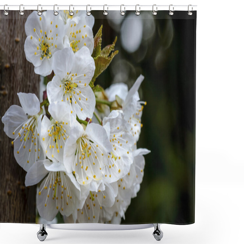 Personality  Various Blooming Trees At Rhododendron Farm Shower Curtains