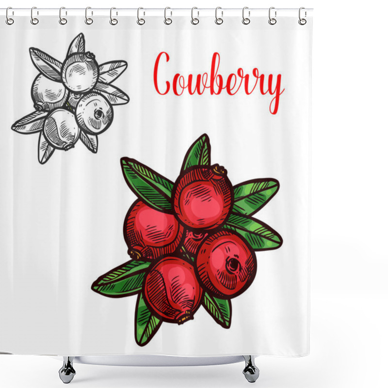 Personality  Cowberry Vector Sketch Fruit Berry Icon Shower Curtains