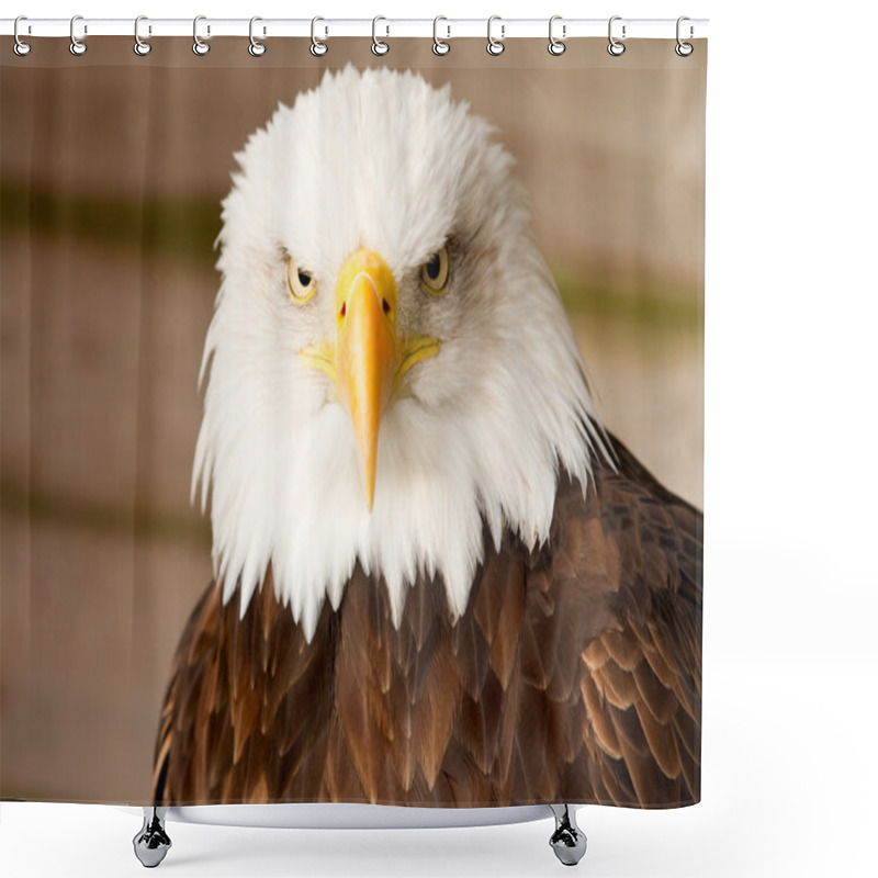 Personality  Bald Eagle Shower Curtains