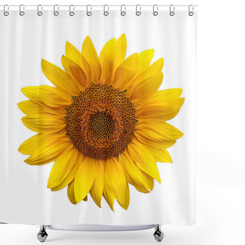 Personality  Sunflowers Shower Curtains