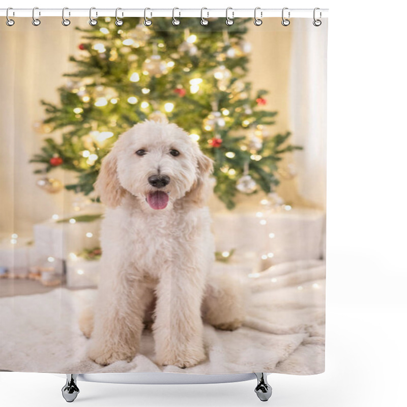 Personality  Smiling Dog Sitting In Front Of Lit Christmas Tree Shower Curtains