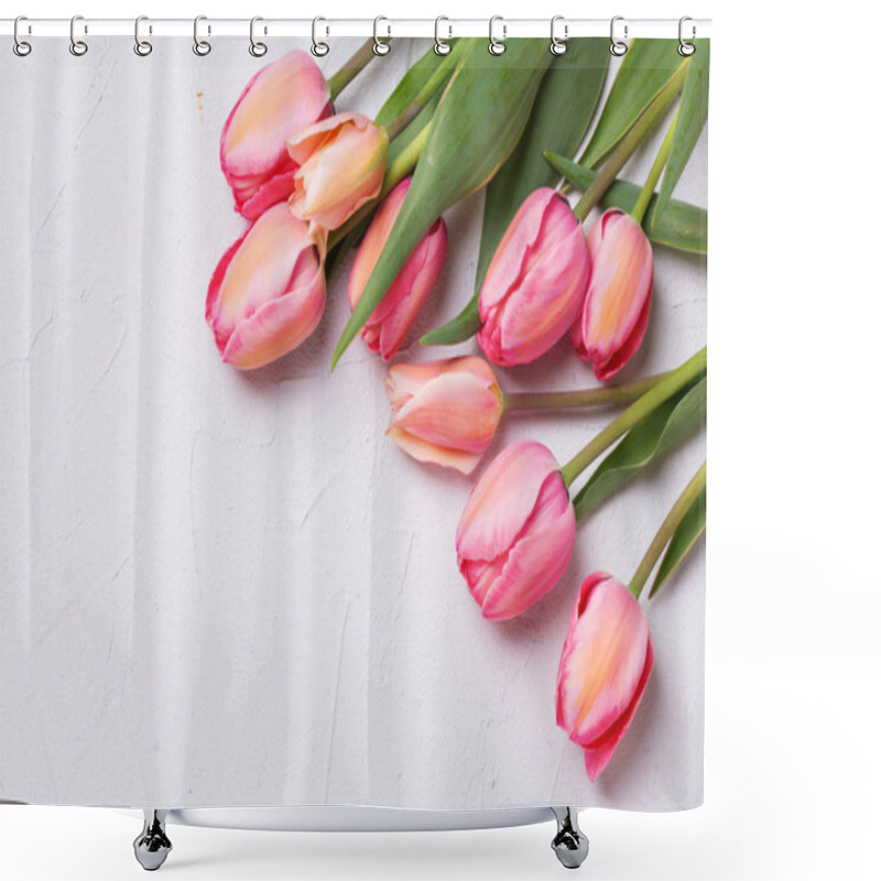 Personality  Pink Tulip Flowers On  Textured Background. Floral Still Life.  Selective Focus. View From Above. Place For Text. Shower Curtains