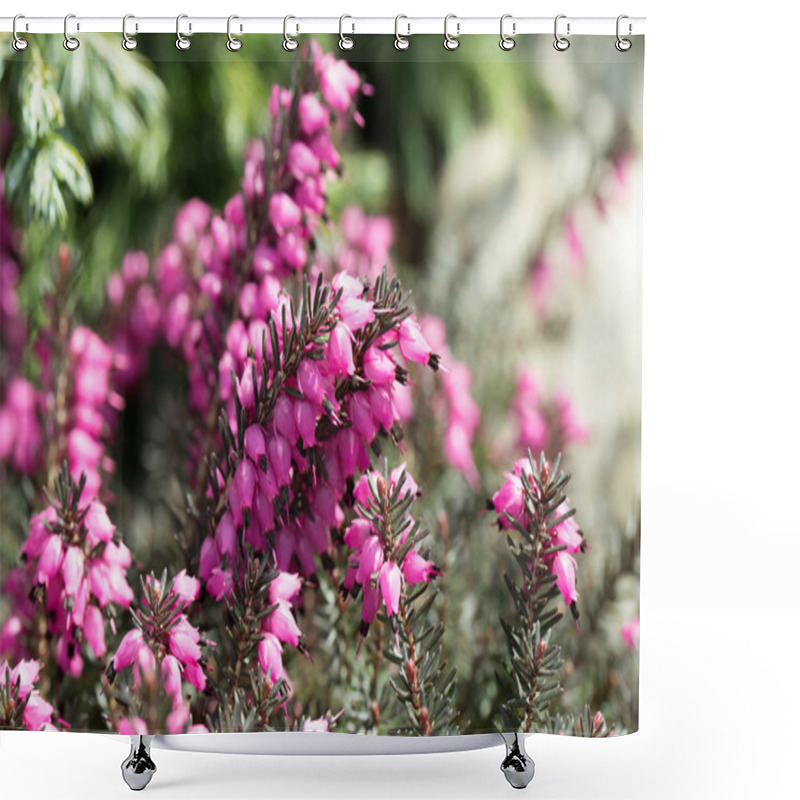 Personality  Macro Of Small Purple Heather Blossoms Shower Curtains