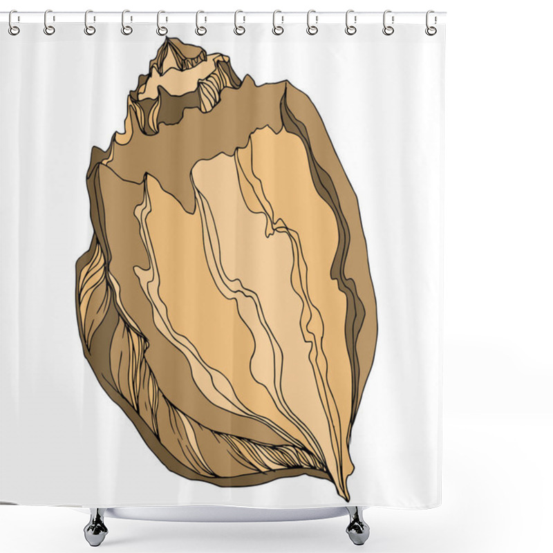 Personality  Vector Summer Beach Seashell Tropical Elements. Brown Beige Engr Shower Curtains