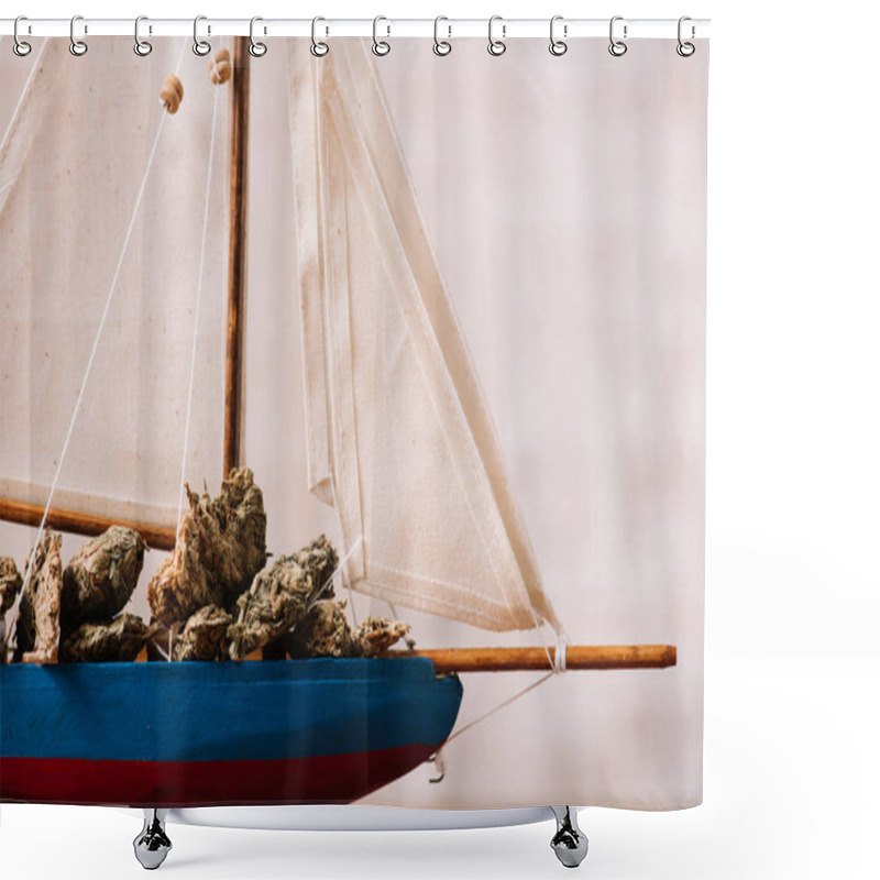 Personality  Close Up View Of Decorative Ship With Dried Plant Lumps Shower Curtains