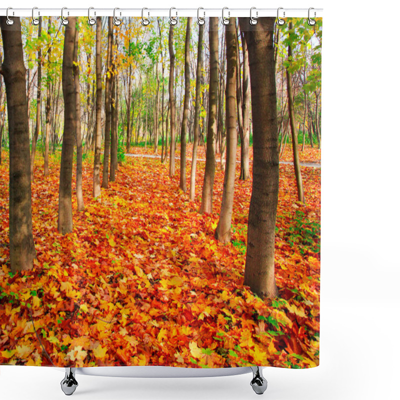 Personality  Autumn Park Shower Curtains