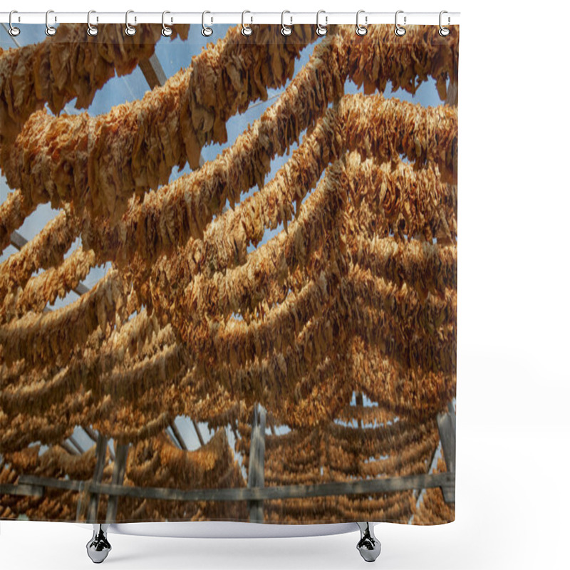 Personality  Tobacco Leaves Tied In Rope Shower Curtains