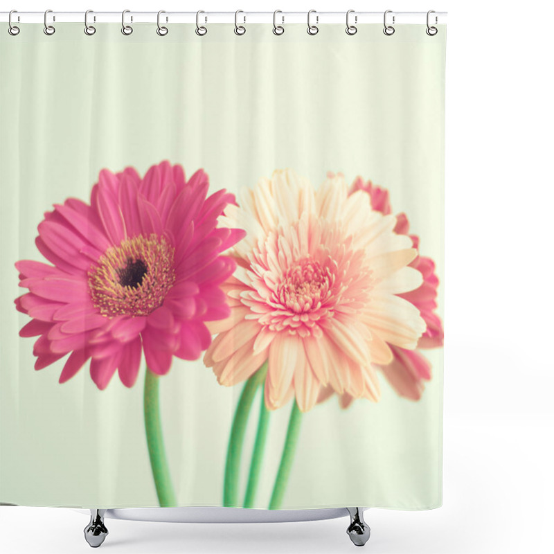 Personality  Pink Flowers On Mint Shower Curtains