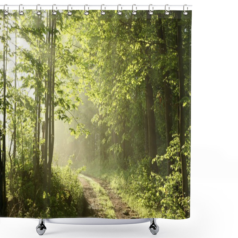 Personality  Forest Path In The Morning Shower Curtains