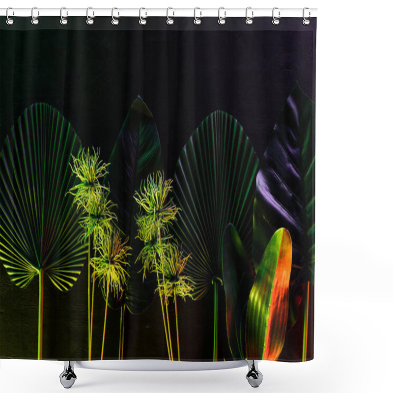 Personality  Top View Of Various Tropical Leaves Placed In Row With Red Lighting  Shower Curtains