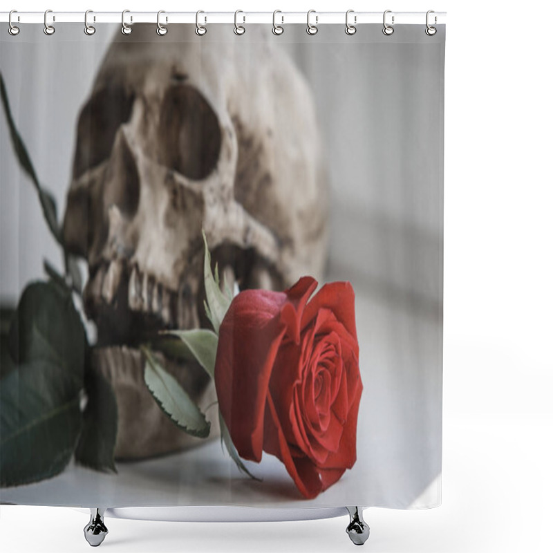 Personality  A Human Skull With A Red Rose In Its Teeth On A White Background Illuminated By Light From The Window. Props For Gothic Photo Shoot And Halloween, Skull, Rose And Black Gloves Shower Curtains