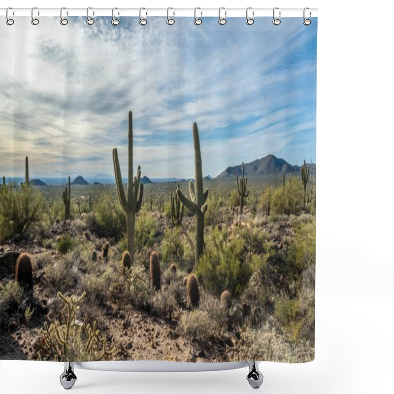 Personality  An Overlooking View Of Nature In Mesa, Arizona Shower Curtains