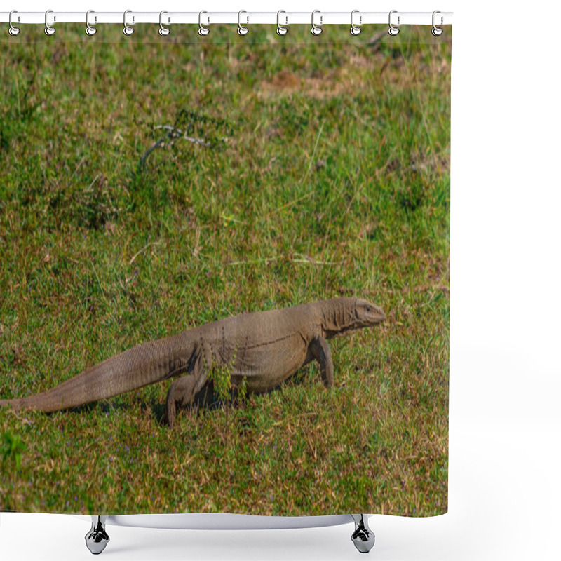 Personality  Bengal Monitor Lizard At Bundala National Park In Sri Lanka. Shower Curtains