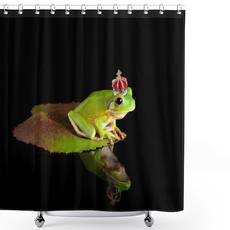 Personality  Frog Prince On Leaf Shower Curtains