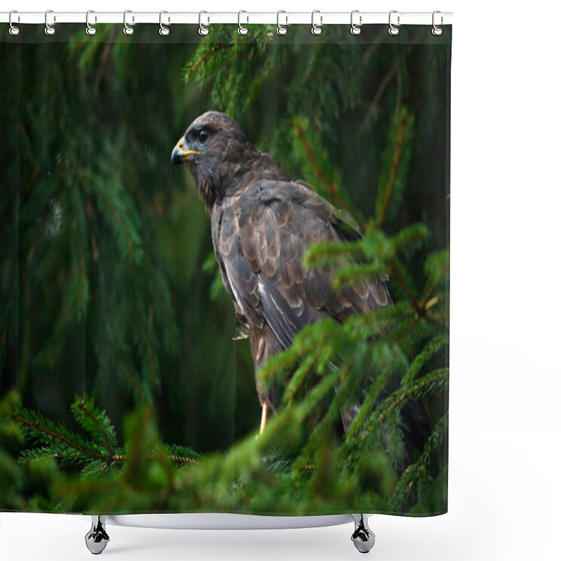 Personality  Wildlife Scene With Falcon Shower Curtains