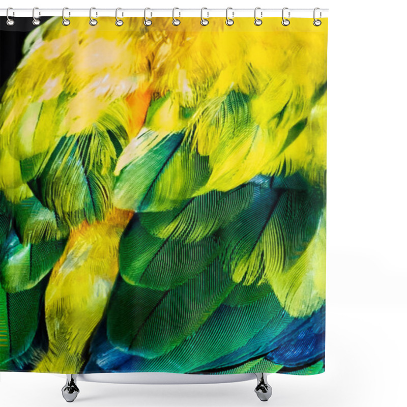 Personality  Close Up Of Scarlet Macaw Feathers In Sharp Details  Shower Curtains