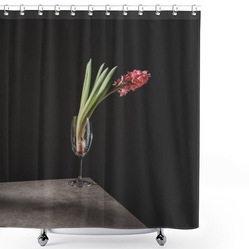 Personality  Pink Hyacinth Flower In Champagne Glass On Stone Table Isolated On Black Shower Curtains