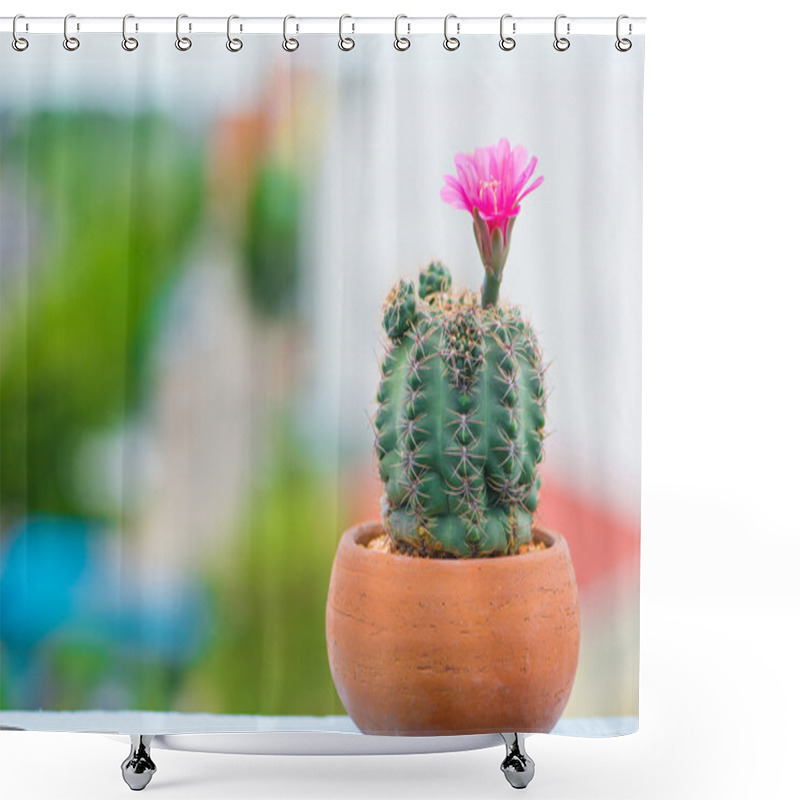 Personality  Closed Up Flower Of Cactus Shower Curtains