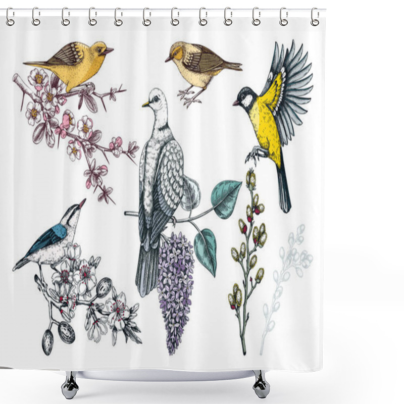 Personality  Colorful Spring Birds Illustrations Set. Dove, Yellow Warblers, Great Tit, Nuthatch On Blooming Branches In Sketched Style. Hand Drawn Passerine Birds And Flowers Isolated On White Background Shower Curtains