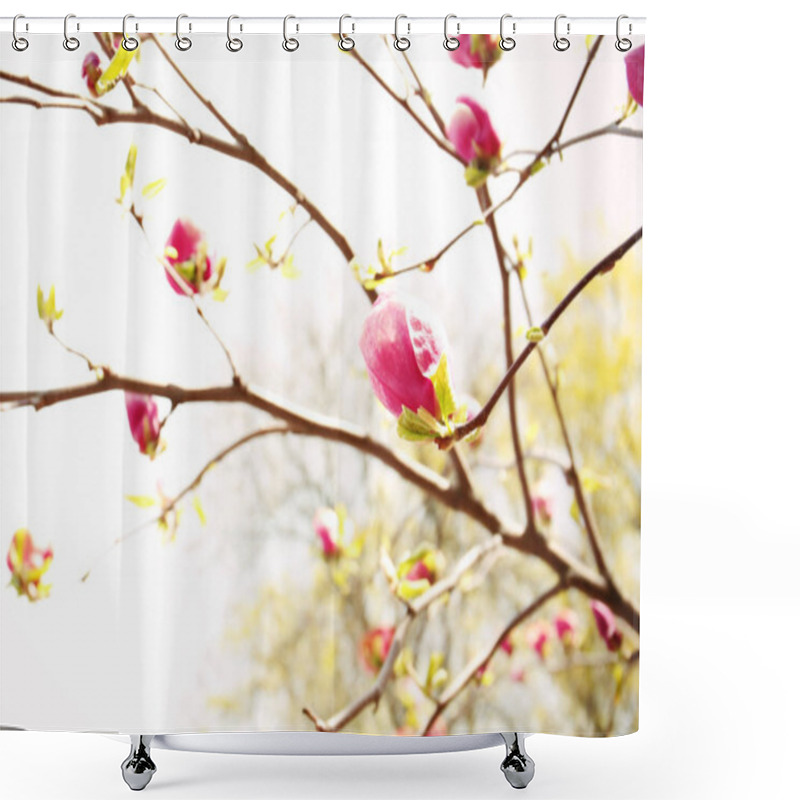 Personality  Branch With Beautiful Magnolia Tree Buds Shower Curtains