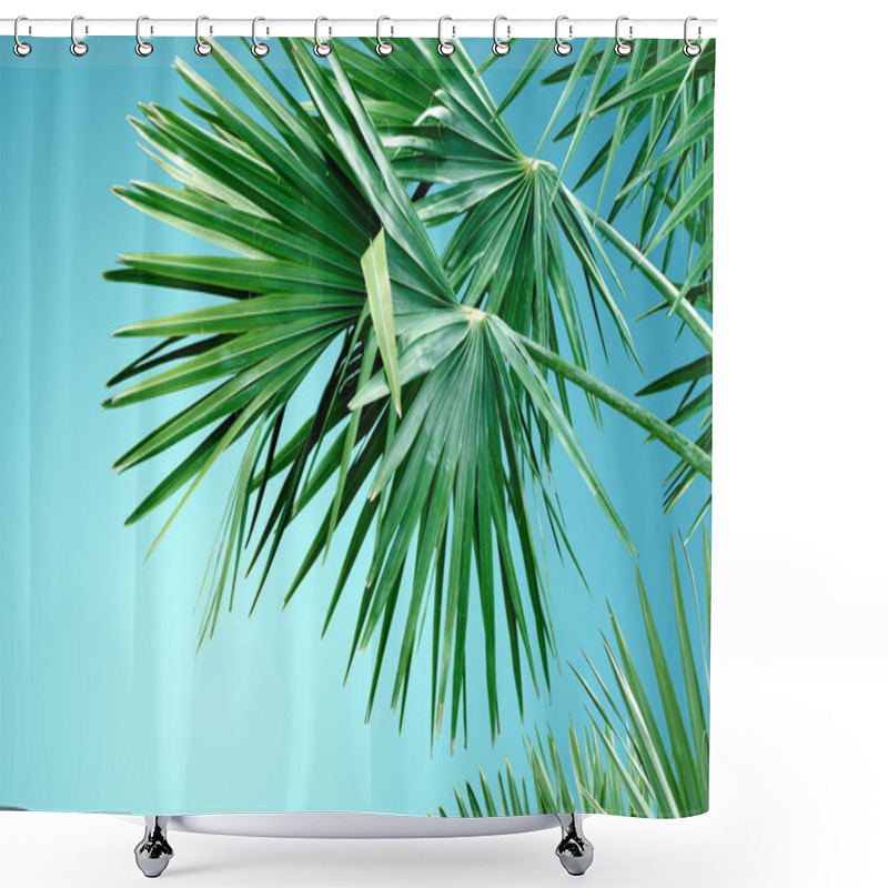 Personality  Tropical Palm Tree Background Shower Curtains