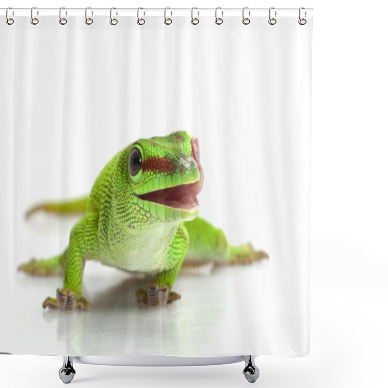 Personality  Giant Day Gecko Shower Curtains