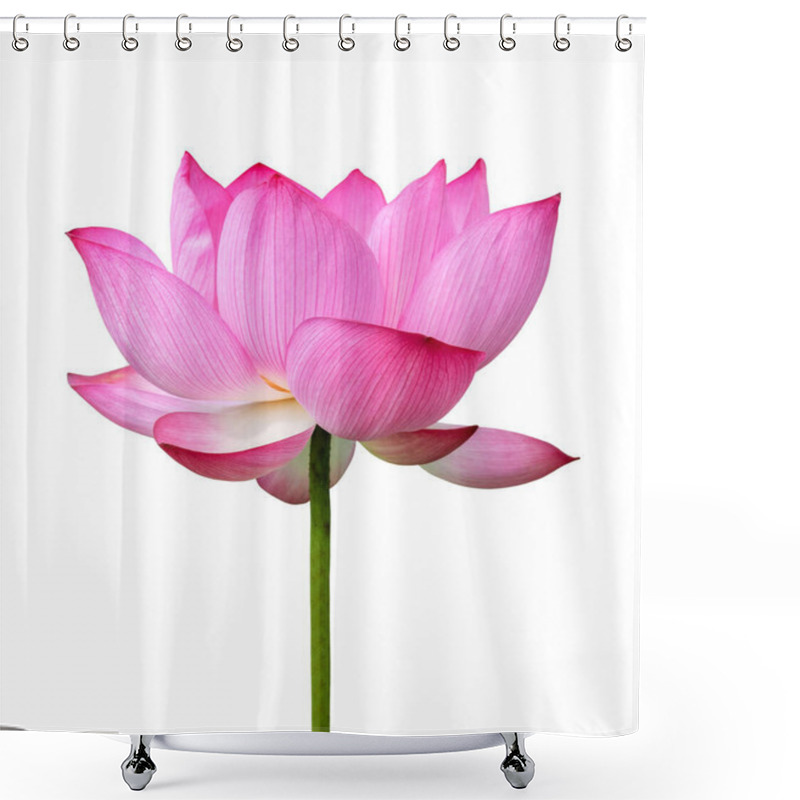 Personality  Pink Lotus Flower Isolated On White Background. File Contains With Clipping Path So Easy To Work. Shower Curtains