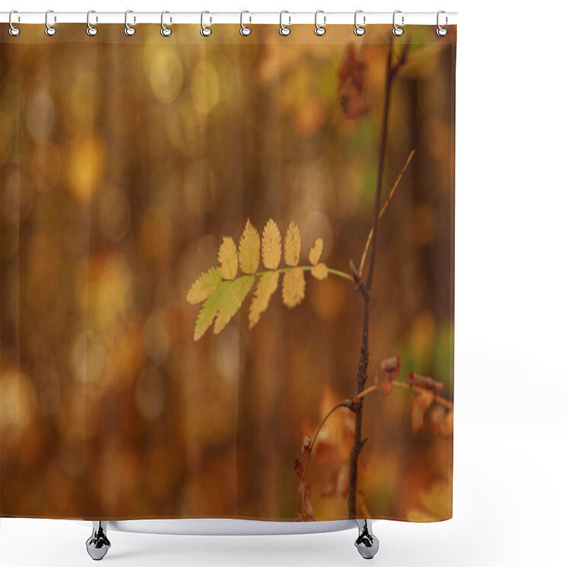 Personality  Selective Focus Of Trees With Yellow Leaves In Autumnal Park At Day  Shower Curtains