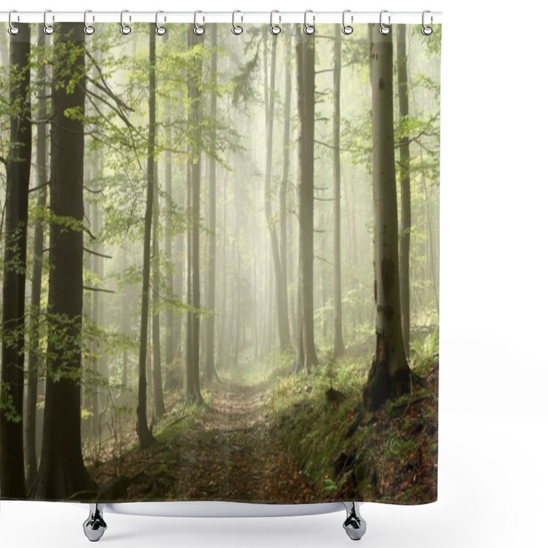 Personality  Forest Trail On A Misty Autumn Morning Shower Curtains